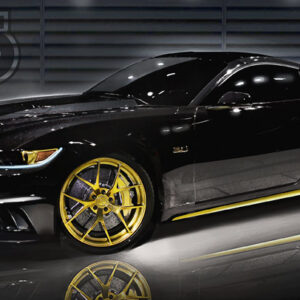 Gold Detail (Maintenance Detail)